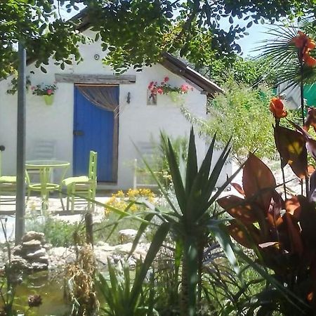 Vivienda Rural La Choza Villa Jerez de la Frontera Luaran gambar