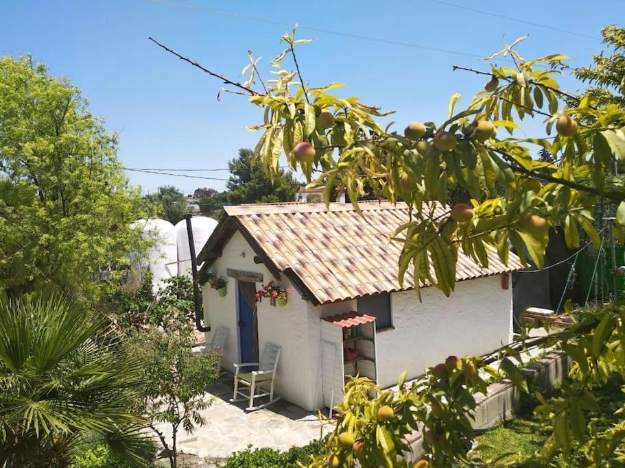 Vivienda Rural La Choza Villa Jerez de la Frontera Luaran gambar