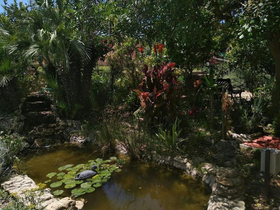 Vivienda Rural La Choza Villa Jerez de la Frontera Luaran gambar