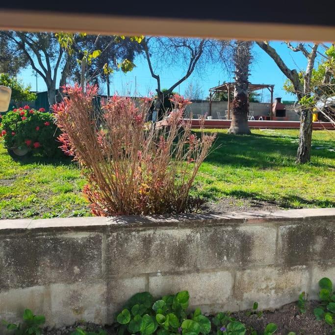 Vivienda Rural La Choza Villa Jerez de la Frontera Luaran gambar